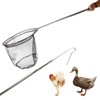 Animal Catch Net Pole Trap Tool Chicken Catcher Leg Hook