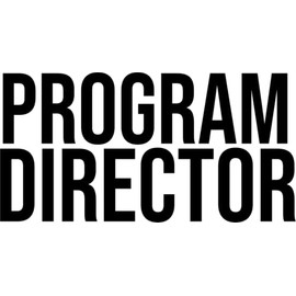 SEC Apparel Program Director Iron On Decals Patch Transfers Applique Letters for t Shirts Fabric Clothing |