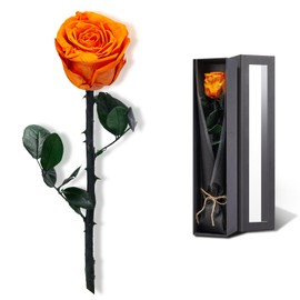 Valentines Day Gifts for Her,Valentines Rose Flowers Birthday Gifts for Women,Valentines Gifts for Wife,Preserved Rose, Preserved Flowers for Delivery Prime, Single Rose Real Rose - Dark Orange Rose