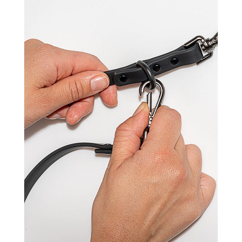 Wild One Leash - Small - Black