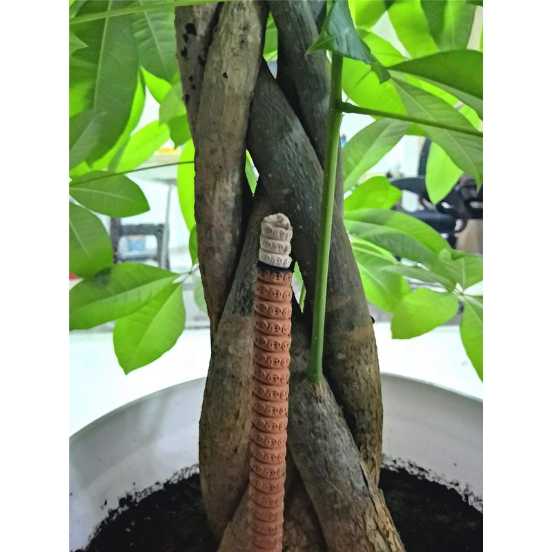 Sandalwood Incense Sticks joss Sticks Long-time Burns (105 Pack 4