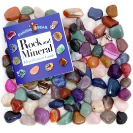 DANCING BEAR 10 Pounds (lbs) Tumbled Polished Natural & Dyed Gem Stones + Educational Color ID Sheet & 28 Page Rock & Mineral Identification Book. Average Stone Size 1 inch, Limited Edition