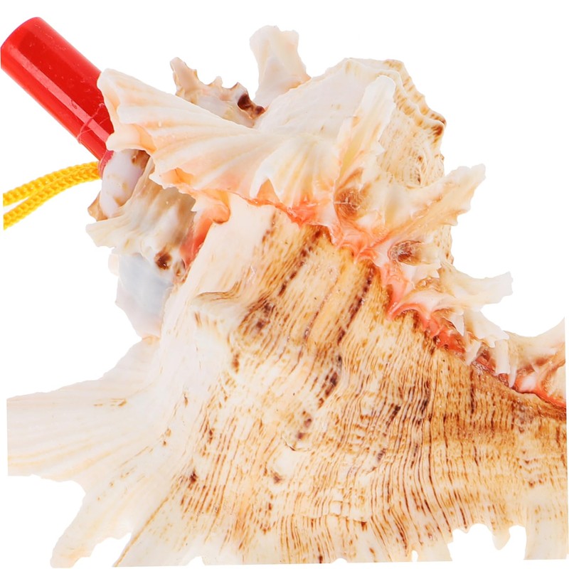 Conch Whistle, Alasum Whistle for Large Seashell Whistle, Shell Toy,