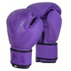 Playwell Matte "Twin Tiger Sak Yant" Muay Thai Boxing Gloves