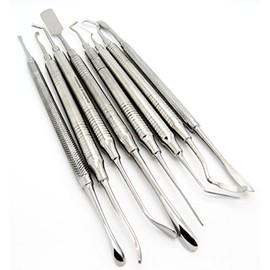 Periosteal Dental Elevator Oral Instruments Dg16, Bone Scraper, Plugger, Periostome