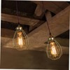 Angoily 18 Pcs Vintage Light Cage Metal Lamp Bulb Guard