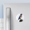 CafePress Eastern Bluebird Magnet 2.25" Round Magnet, Refrigerator Magnet