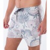 Phantom Naturals Sessions Men's Boardshorts 16 Inches, Bone 3