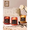 M&SENSE Eucalyptus & Fir Balsam Scented Candle Highly Scented Candle,