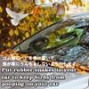 Chaojibao 1pcs Snake Snake Snakes Prank Toy Rubber Toy Snake