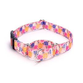 Moonpet - Collar de martingala para perros, ajustable, suave, duradero, para perros pequeños, medianos y grandes, sin tirones, con hebilla de seguridad antideslizante, collar de perro, color