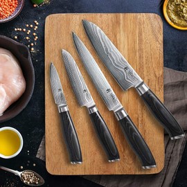Wakoli Damascus Kitchen Knife Set, 4 Pieces Professional Chef Knife Set made from 67 Layers of Damascus Steel with VG10 Core, Knives Set for Kitchen with Micarta Handles in Gift Box (Mikata)