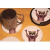 Novelty Raccoon Coasters for Drinks with Holder Leather Coasters Set