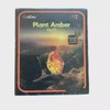 Gobi Dex Plant Amber Digging Kits