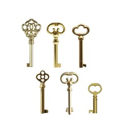 Llhhs 6-PCS Skeleton Key Set, Antique Brass Plated Hollow Barrel Skeleton Key, Perfect Key Replacement for Antique Vintage and Modern Furnitures