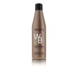 Salerm Shampoo Cabellos Blancos 500ml Con Extracto De Bambú