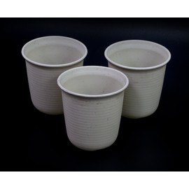 ALL in ONE Mini Plastic Plant Flower Pots for Plants Flowers Succulents Home Office Table Decoration (S-White)