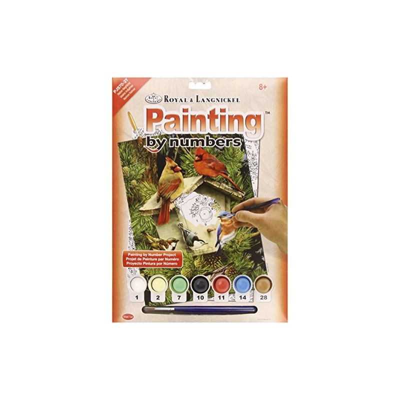 ROYAL BRUSH Junior Small Paint by Number Kit 8-3/4"X11-3/4-Native Neighbors