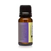Violet Sugar - Premium Grade Fragrance Oils - 10ml -