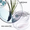 Kérastase, Résistance, care routine with shampoo, hair mask and free