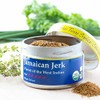 Teeny Tiny Spice Co of Vermont Organic Jamaican Jerk, 2.8