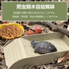 PAVIKE Reptile Bait Food Bowl Reptile Water Tray Reptile Feeding