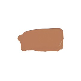 Doll Skin Genius Serum Concealer with Reishi Mushroom (Tan/Deep, One Size)