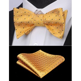 HISDERN Bowties Men Polka Dot Self Tie Bow Ties and Pocket Square Set Yellow Classic Formal Business Tuxedo Bowtie Handkerchief for Wedding Party