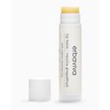 Erbaviva Vanilla Grapefruit Lip Balm 0.16 Ounce