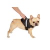 Dog Harness Deluxe Easy Grab Padded Handle with Reflective Strip