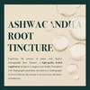 Napiers Ashwagandha Root Tincture (Withania somnifera) - Herbal Supplement -