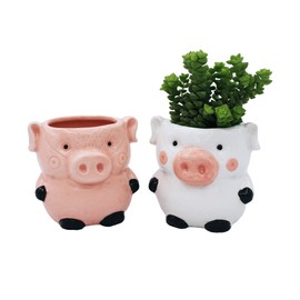 Cute Pig Planter Kitchen Pig Decor 2 Pack Ceramic Succulent Flower Pots with Drainage Hole, Office Décor