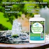 Algaecide for Fountains – Clarify and Controls Algae for Large
