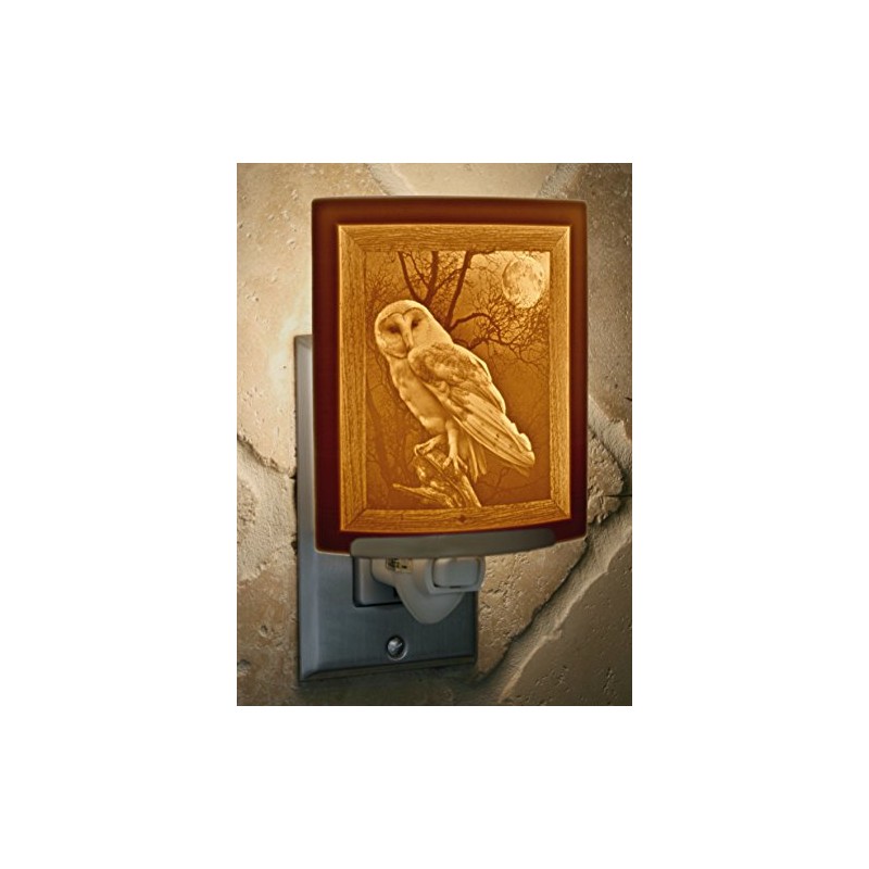 The Porcelain Garden The Owl Night Light, Porcelain Lithophane, Decorative