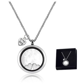 KMYZQDV Pet Memorial Necklace,Pet Hair Souvenir Necklace for Dog Memorial Jewelry That Holds Ashes Fur or Hair Transparent Urn Locket Necklace for Women Dogs Ash Vial Necklaces Pet Ashes Souvenir