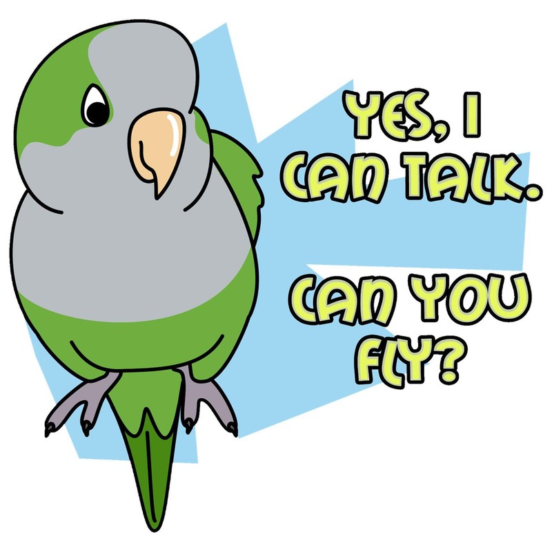 CafePress Can You Fly Quaker Parrot Rectangle Magnet, 3"x2" Refrigerator