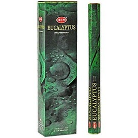 Eucalytpus 16 Inches Tall - 60 Jumbo Sticks Box - HEM Incense