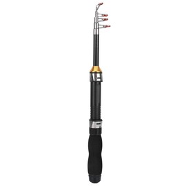 Travel Fishing Rod, Portable Mini Pocket Stainless Steel Fishing Rod for Bait, Carp, Pike, Sea Fishing (1m)