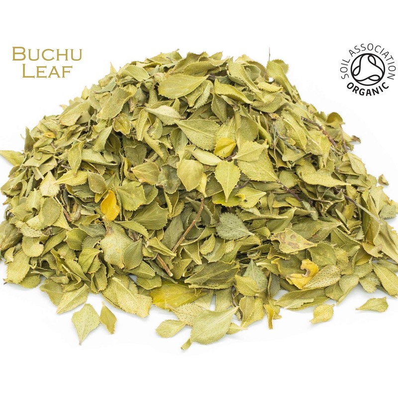 Organic Buchu Leaf Pure Herbal Infusion (25 Unbleached Tea Bags