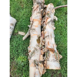 White Birch Log - Live Edge-24×5