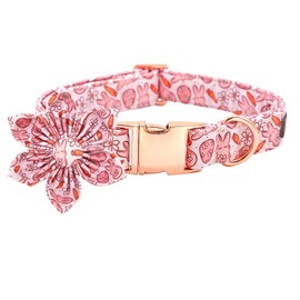 Bobo Rainbow Easter Dog Collar with Flower- Pink Bunny Dog Collar Flower for Dogs Flower Pet Adjustable Dog Collar Girl Boy Dog Collar for Small Dogs