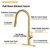 Brass Gold Kitchen Faucet with Pull Down Sprayer, Single Handle,