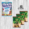 Mouse Safari Party Snacks, Favors and Decorations (Fruit Snacks 0.9oz