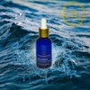 Ravintsara Essential Oil 30ml (Chemotype Cinnamomum Camphora) 100% Pure and