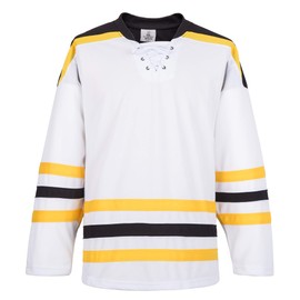 EALER H900 Series Ice Hockey League Team Color Blank Practice Jersey & Thick, Breathable and Quick-Dry High Strength Fabric&Unisex Junior to Senior