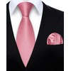 HISDERN Ties for Men Wedding Tie with Pocket Square Set