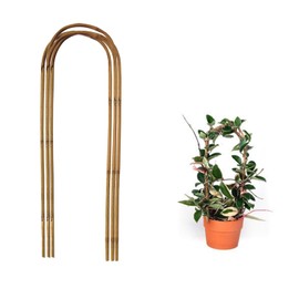 20 Pack Bamboo Trellis U-Hoop for Potted Plants - 16 Inch U-Shaped Plant Support Hoop for Climbing Vines Cucumbers Indoor/Outdoor