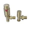 NRG Designer 15mm Brushed Brass Angled TRV Thermostatic Radiator Valves