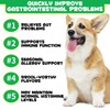 Probiotics for Dogs - Digestive Health and Immune Support, Dog