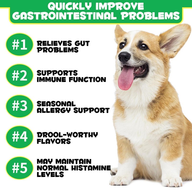 Probiotics for Dogs - Digestive Health and Immune Support, Dog